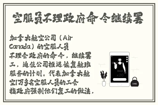 小猪视频app下载地址